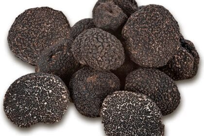 truffes noires