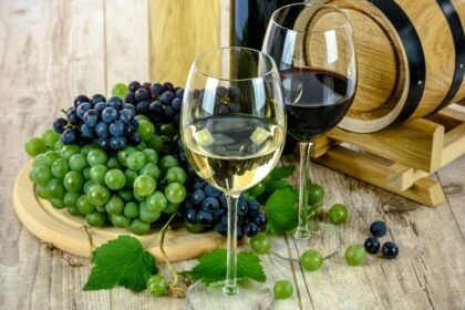 Verres de vin blanc et rouge pour accompagner le foie gras